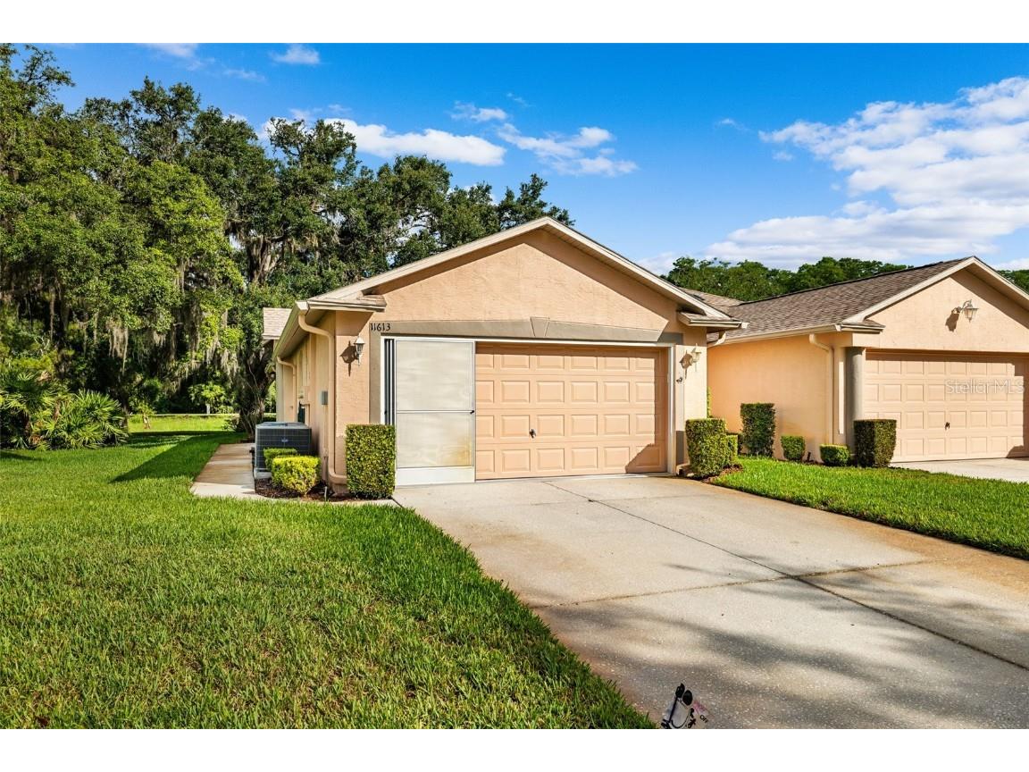 11613 Holly Ann Drive New Port Richey FL 34654 W7865611 image1