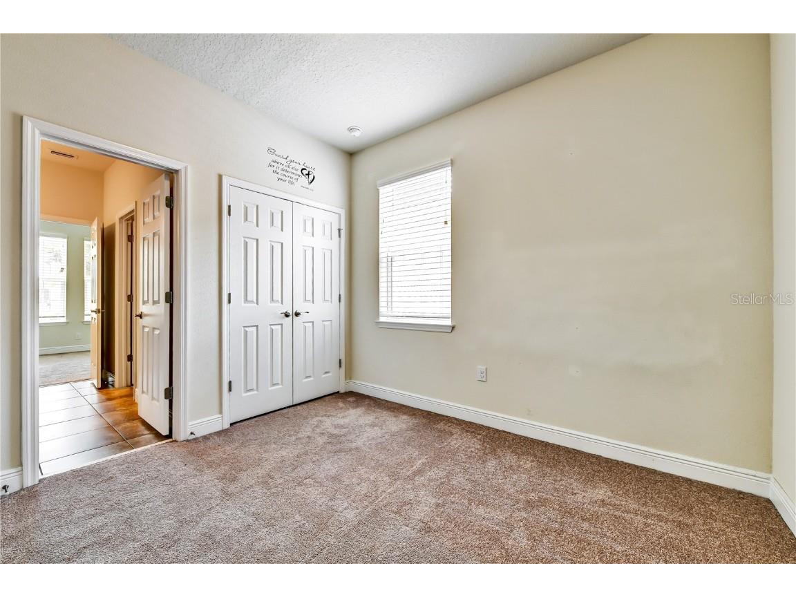 11613 Sweet Tangerine Lane Tampa FL 33626 TB8401418 image17