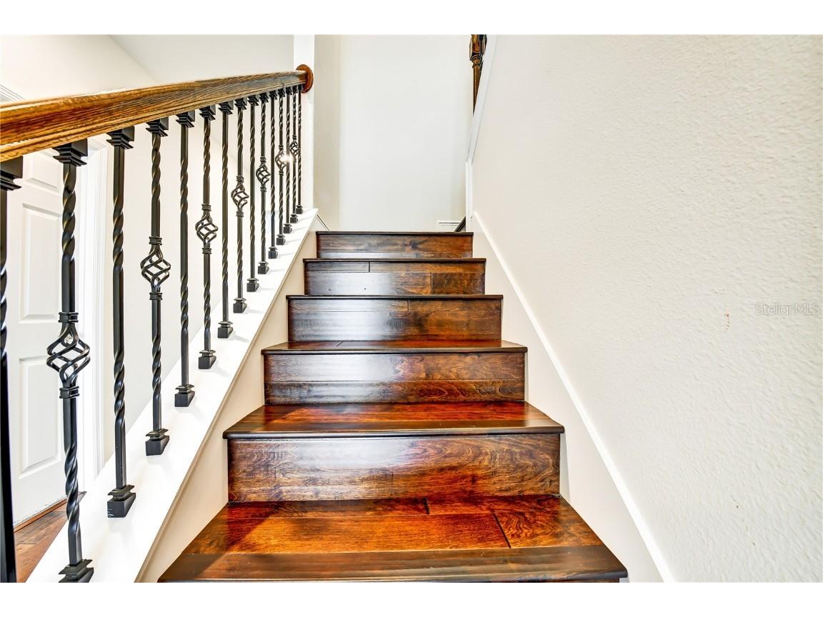 11613 Sweet Tangerine Lane Tampa FL 33626 TB8401418 image34