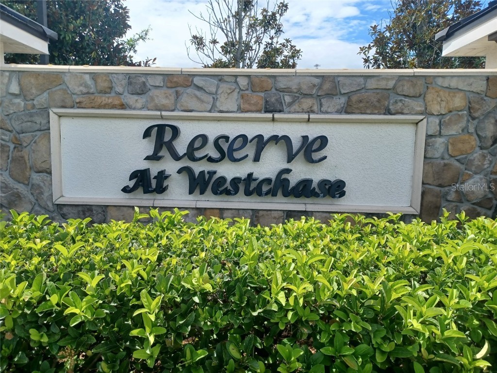 11613 Sweet Tangerine Lane Tampa FL 33626 TB8401418 image39