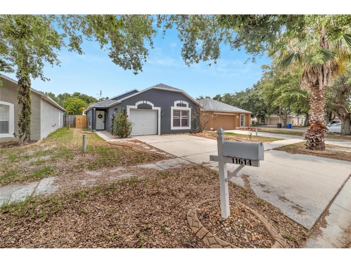 11614 Ivy Flower Loop Riverview FL 33569 T3526431 image1