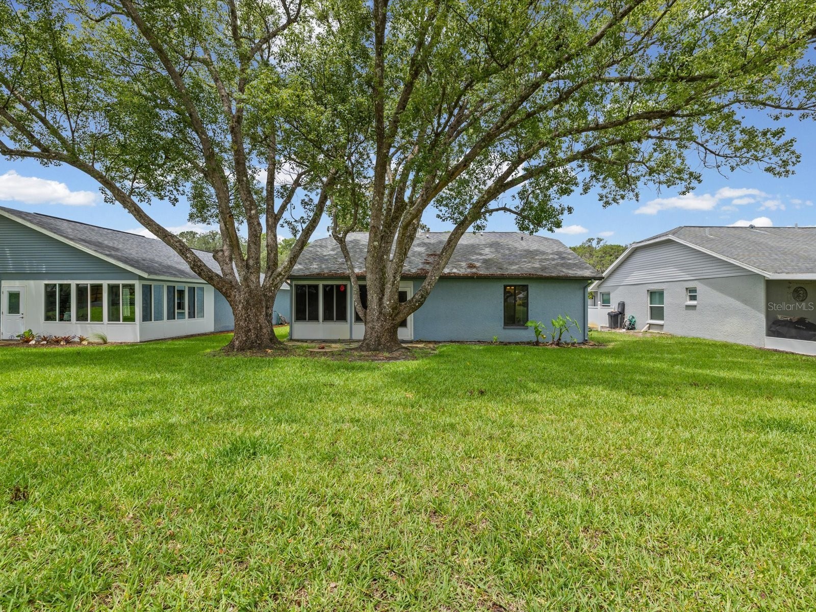 11614 Rose Tree Drive New Port Richey FL 34654 W7886292 image28