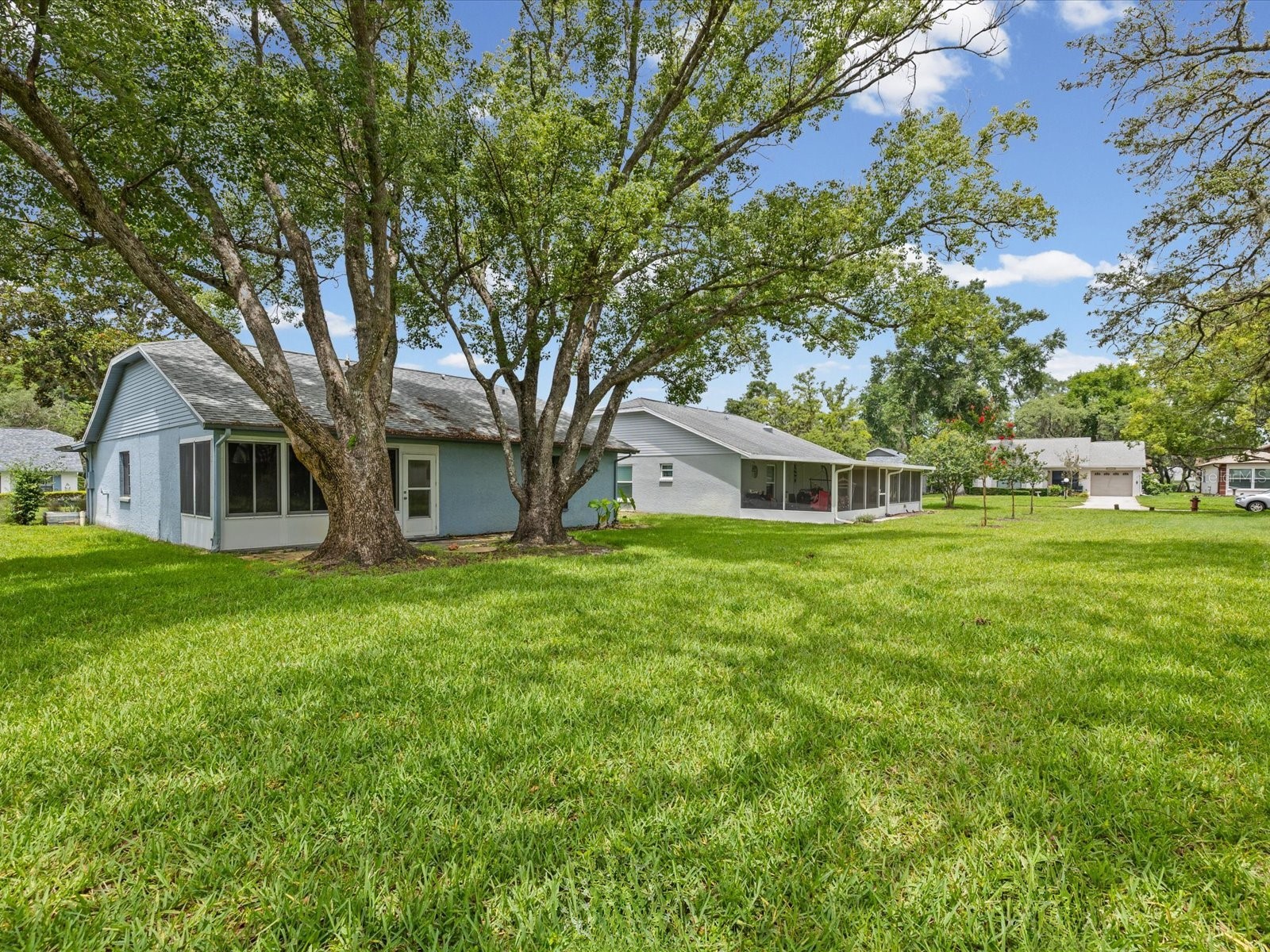 11614 Rose Tree Drive New Port Richey FL 34654 W7886292 image29