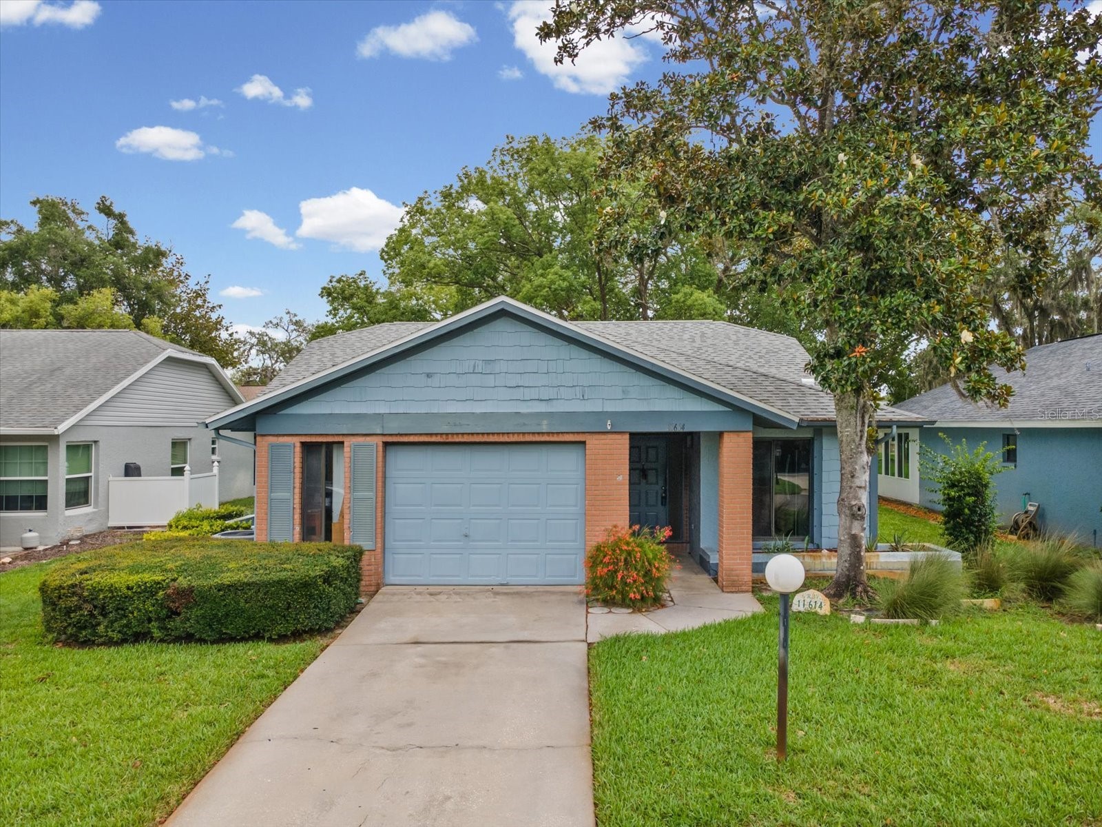 11614 Rose Tree Drive New Port Richey FL 34654 W7886292 image30