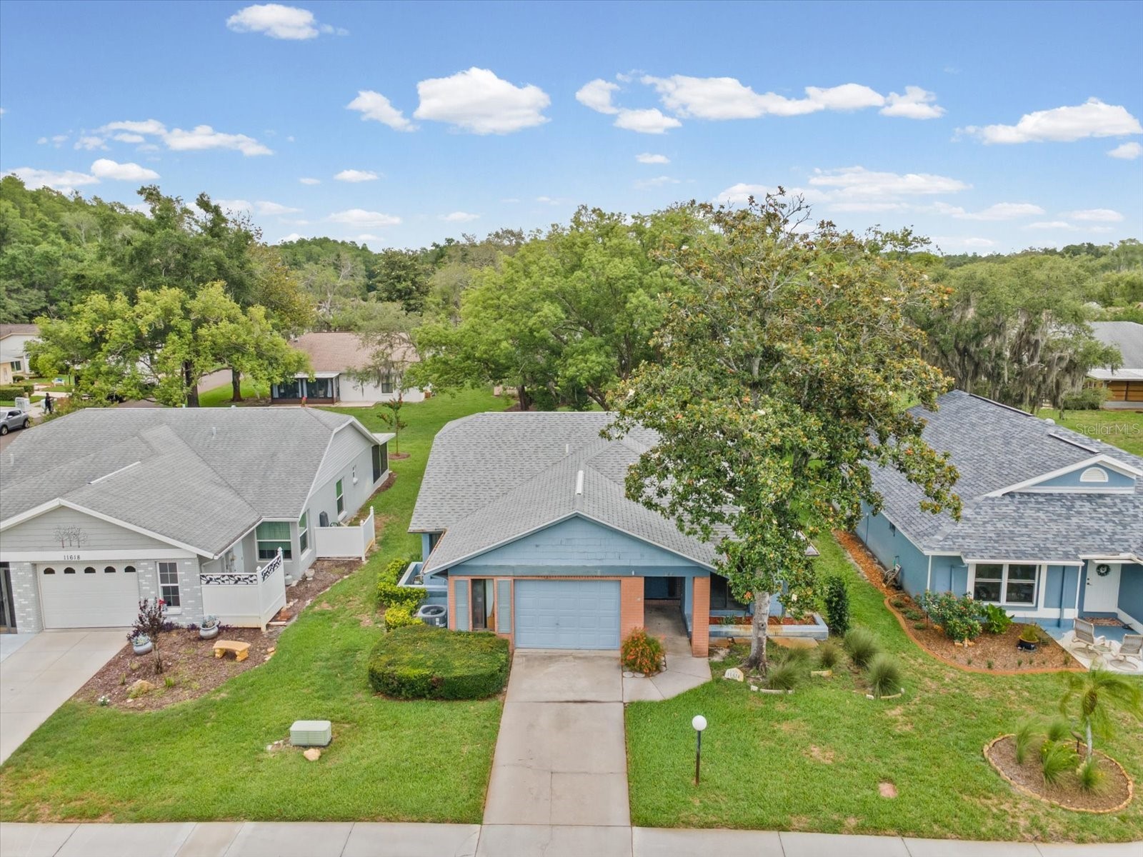 11614 Rose Tree Drive New Port Richey FL 34654 W7886292 image31
