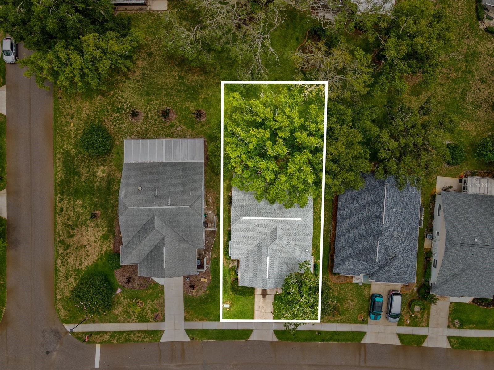 11614 Rose Tree Drive New Port Richey FL 34654 W7886292 image32