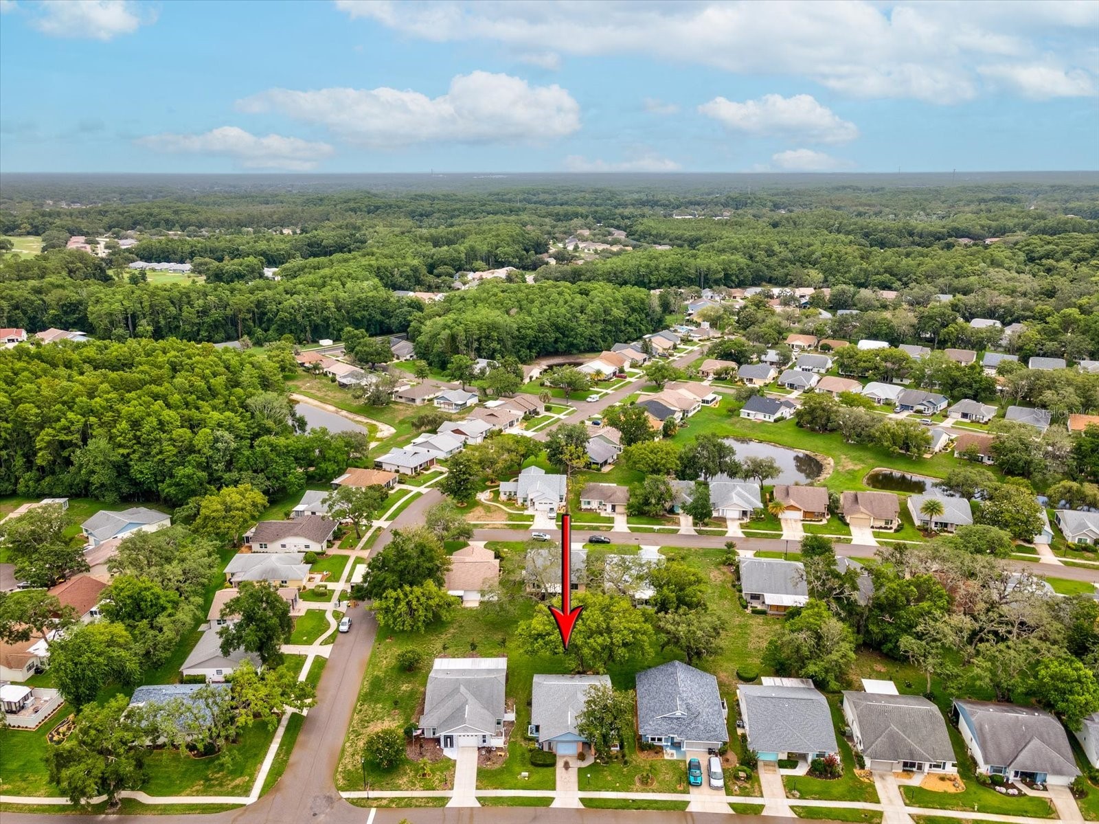 11614 Rose Tree Drive New Port Richey FL 34654 W7886292 image33