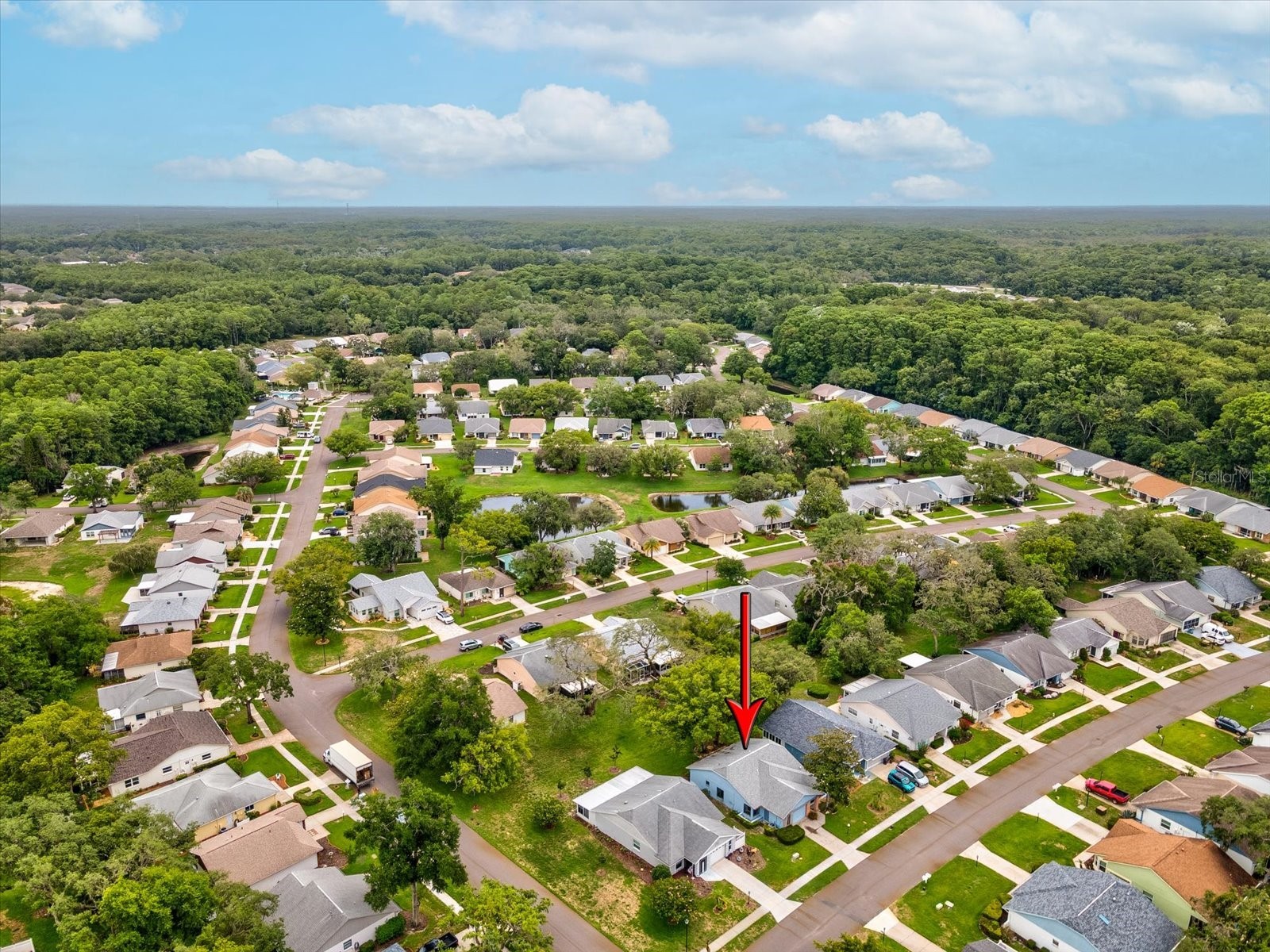 11614 Rose Tree Drive New Port Richey FL 34654 W7886292 image34