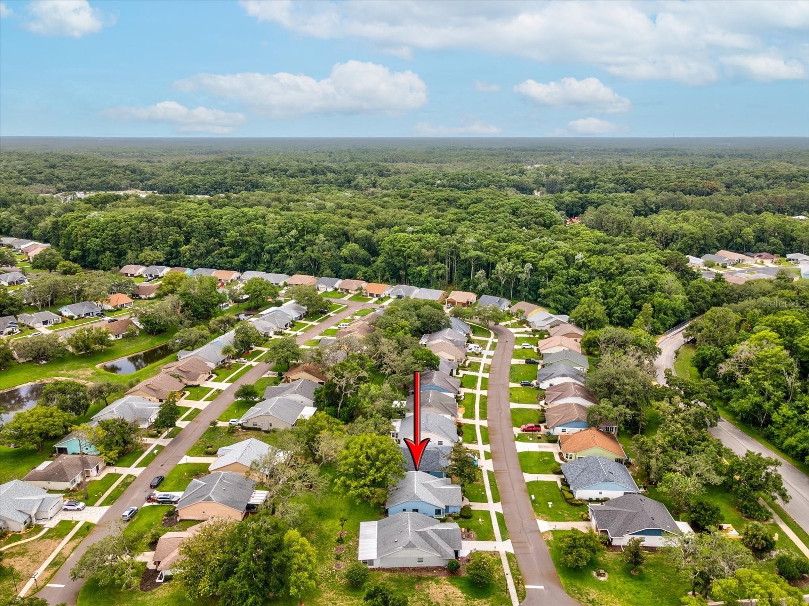 11614 Rose Tree Drive New Port Richey FL 34654 W7886292 image35