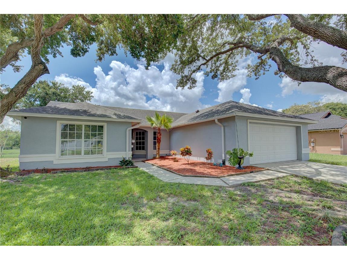 11614 Wellman Drive Riverview FL 33578 U8246713 image1