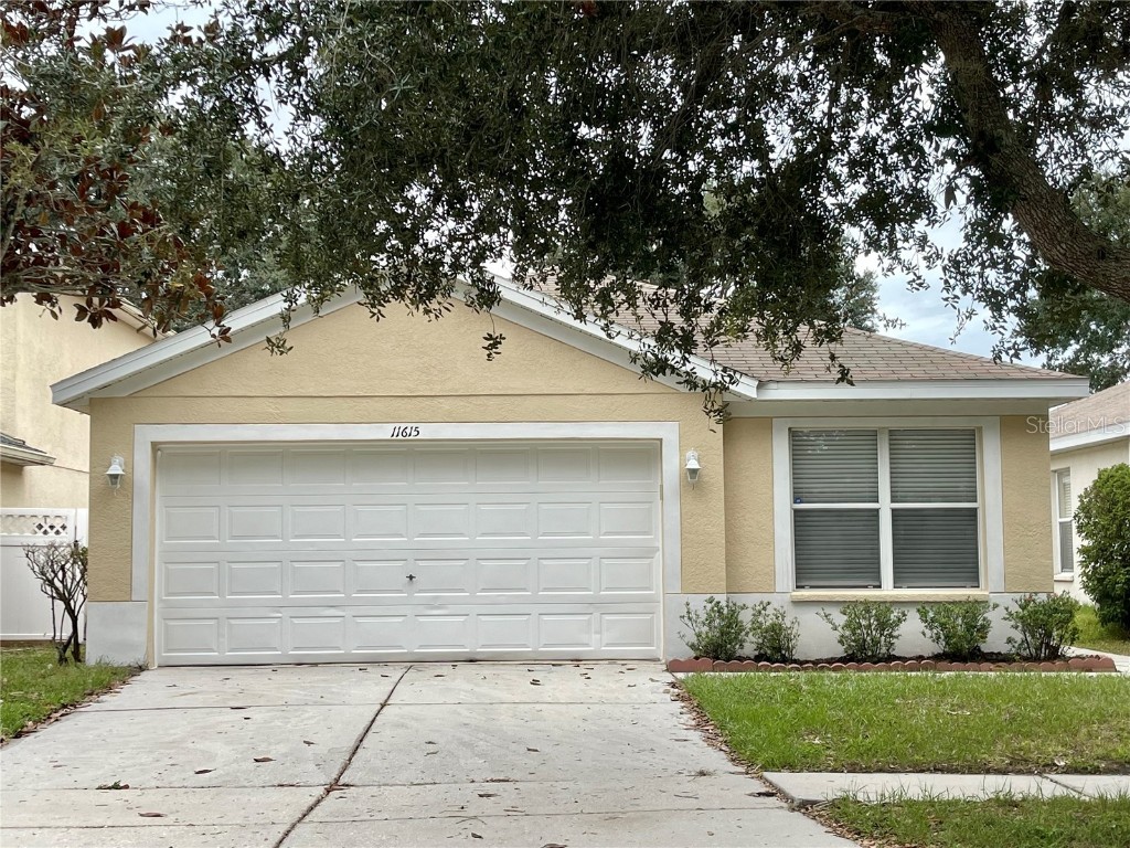 11615 Hammocks Glade Drive Riverview FL 33569 T3491943 image1