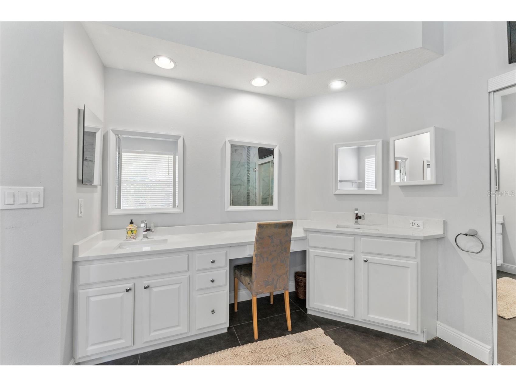 11615 Renaissance View Court Tampa FL 33626 TB8502422 image20