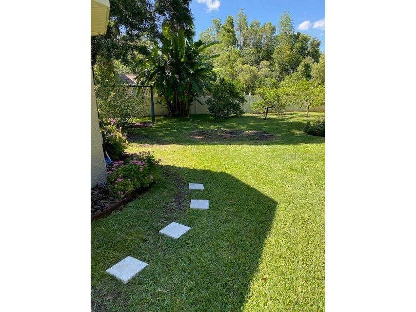 11615 Renaissance View Court Tampa FL 33626 TB8502422 image49