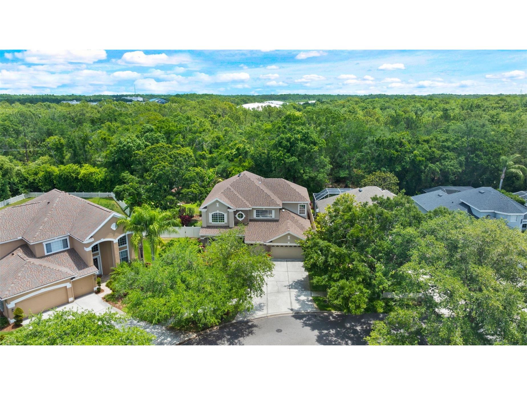 11615 Renaissance View Court Tampa FL 33626 TB8502422 image50