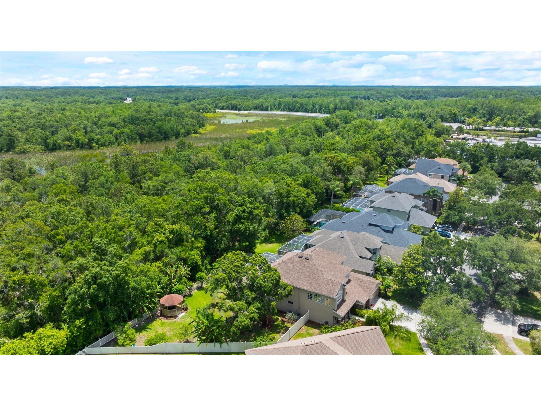 11615 Renaissance View Court Tampa FL 33626 TB8502422 image52