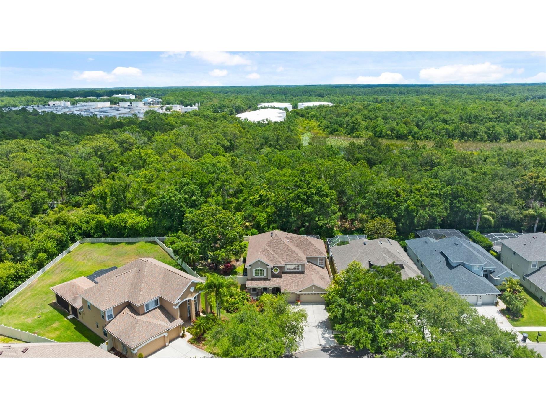 11615 Renaissance View Court Tampa FL 33626 TB8502422 image53