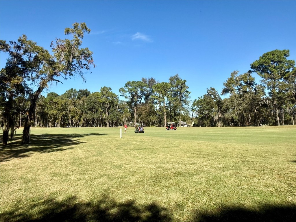 11615 SW 72nd Circle Ocala FL 34476 OM712123 image50