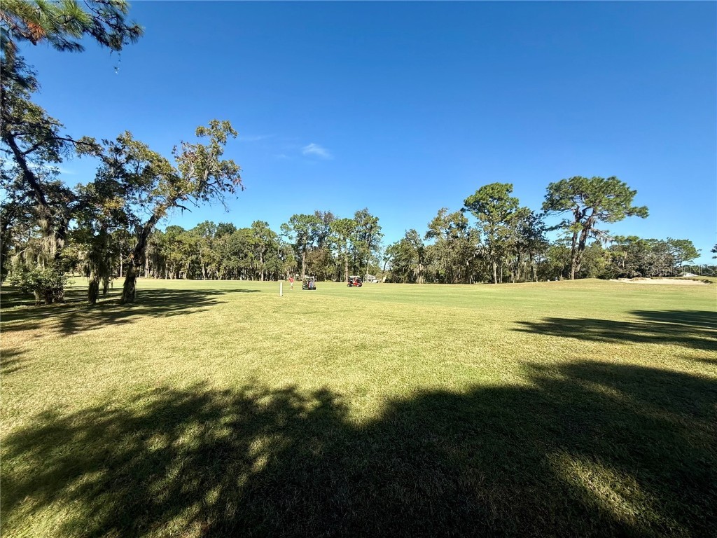 11615 SW 72nd Circle Ocala FL 34476 OM712123 image51