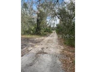 11616 Bullfrog Creek Road Gibsonton FL 33534 TB8358302 image1