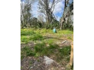 11616 Bullfrog Creek Road Gibsonton FL 33534 TB8358302 image6