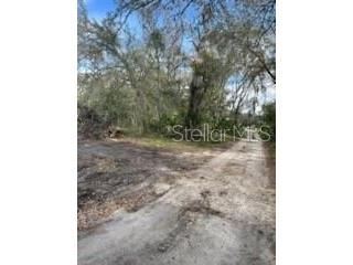 11616 Bullfrog Creek Road Gibsonton FL 33534 TB8358302 image7