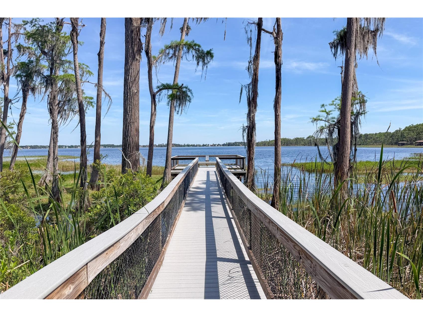 11617 Camden Park Drive Windermere FL 34786 O6405409 image58
