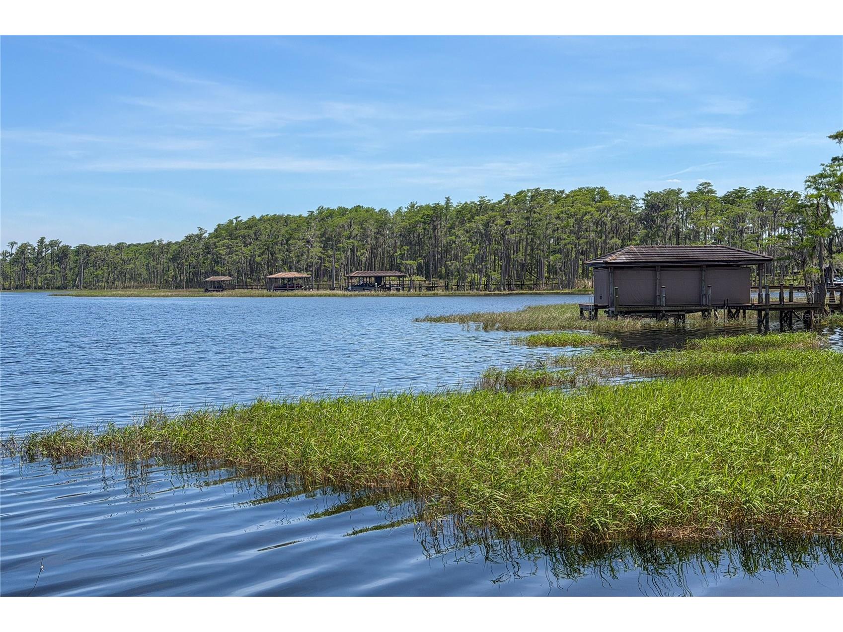 11617 Camden Park Drive Windermere FL 34786 O6405409 image59