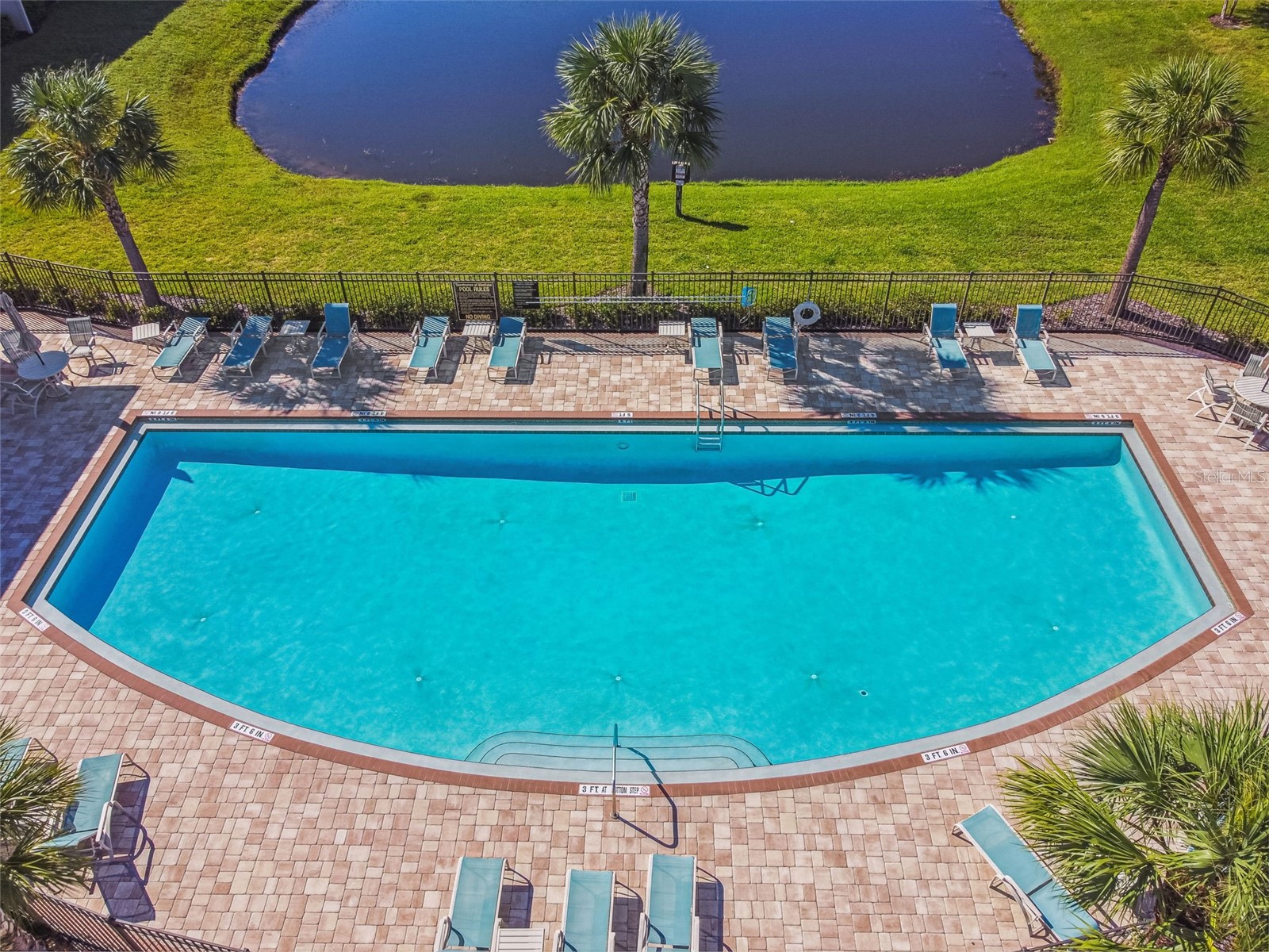 11618 Crowned Sparrow Lane Tampa FL 33626 TB8509107 image34