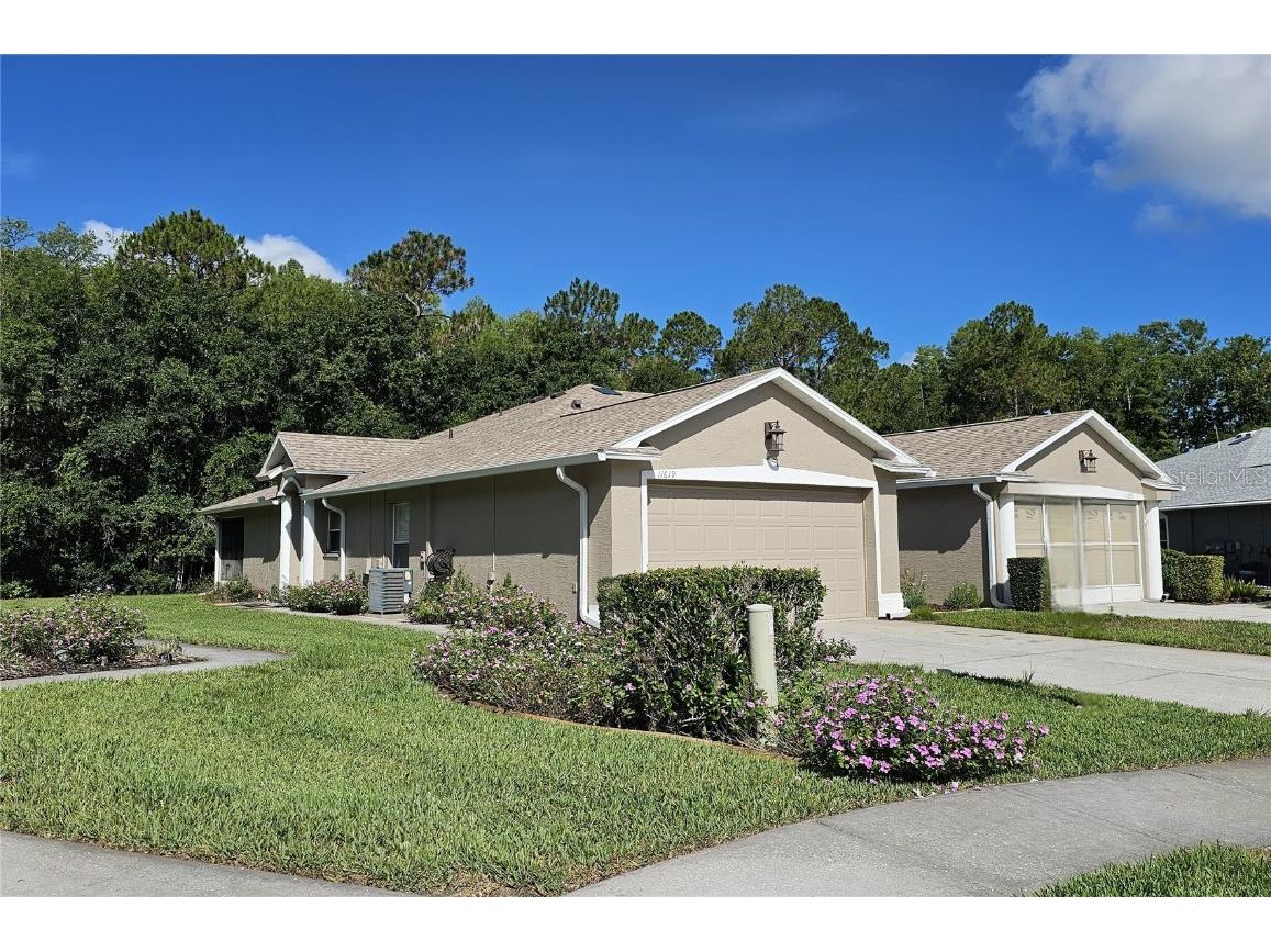 11619 Foxworth Lane New Port Richey FL 34654 T3512572 image1