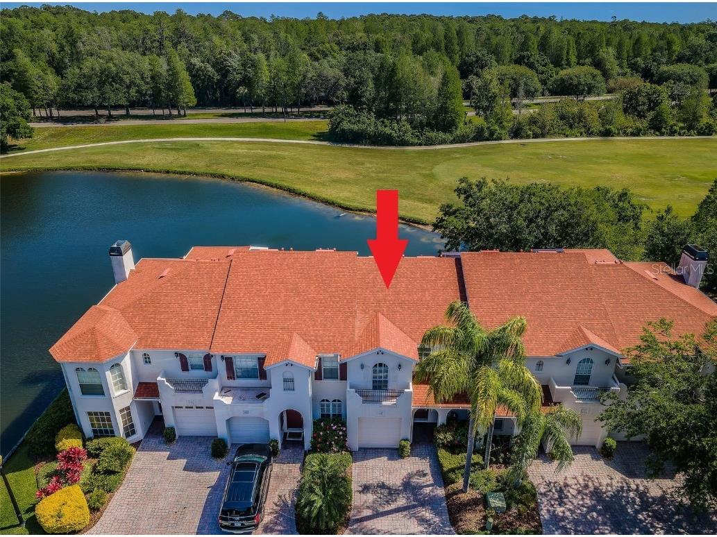 11619 Highbury Way Tampa FL 33626 U8238631 image1