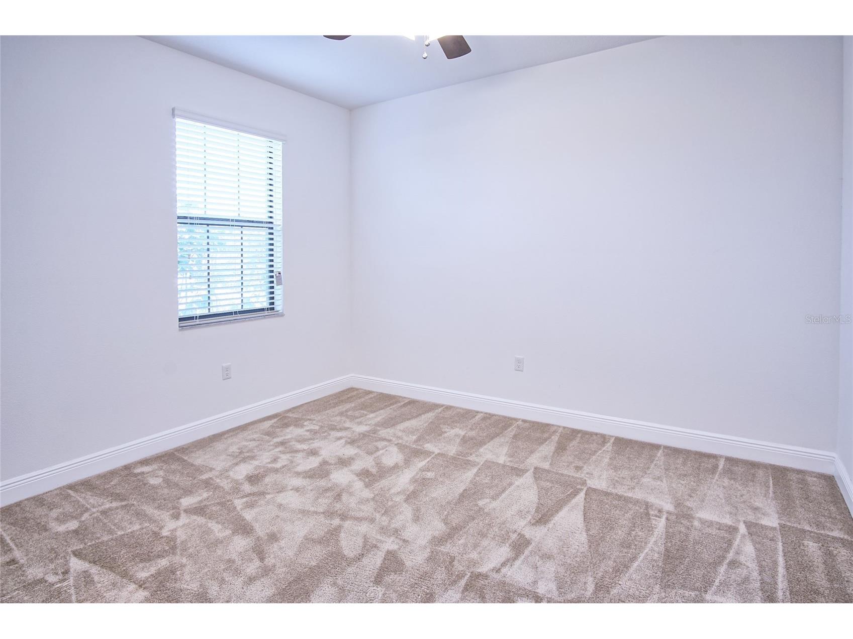 11619 Iris Spring Court Riverview FL 33579 TB8522773 image14