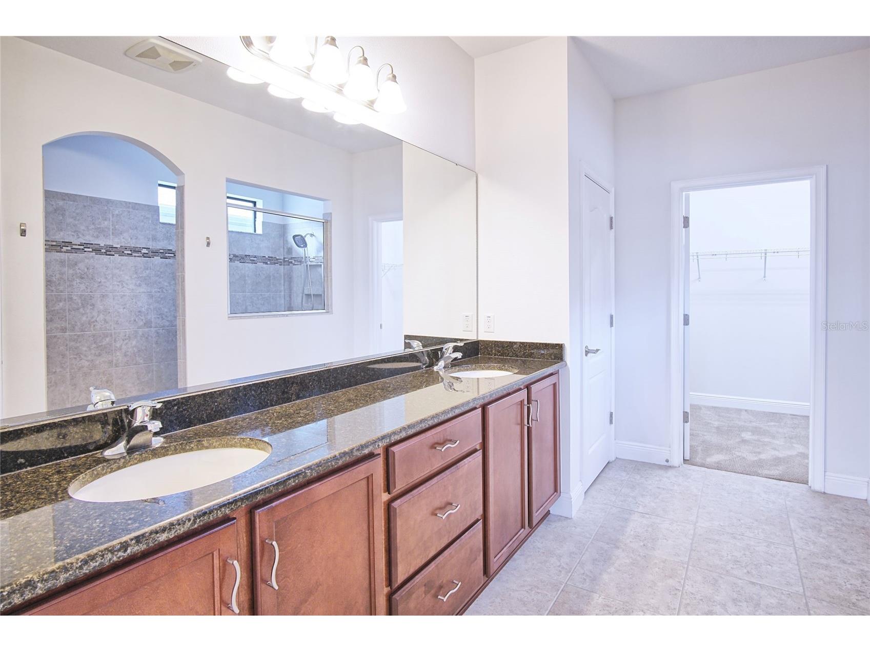 11619 Iris Spring Court Riverview FL 33579 TB8522773 image23