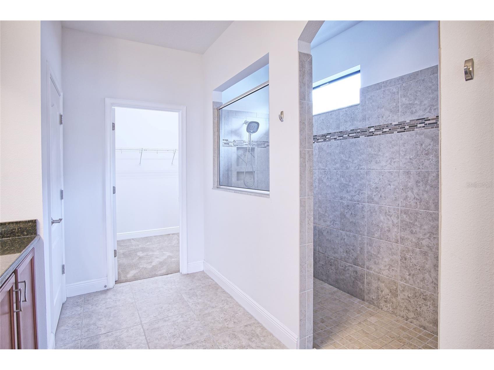 11619 Iris Spring Court Riverview FL 33579 TB8522773 image24