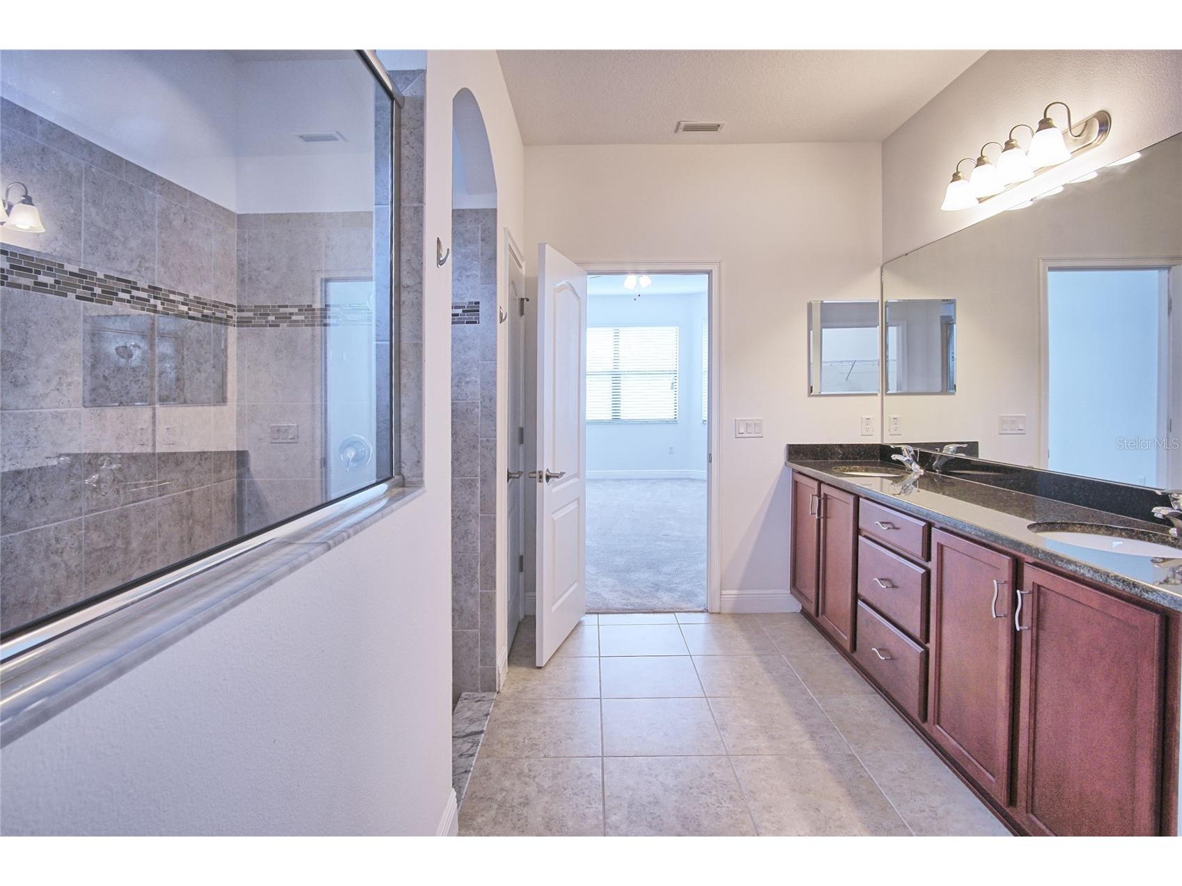 11619 Iris Spring Court Riverview FL 33579 TB8522773 image25
