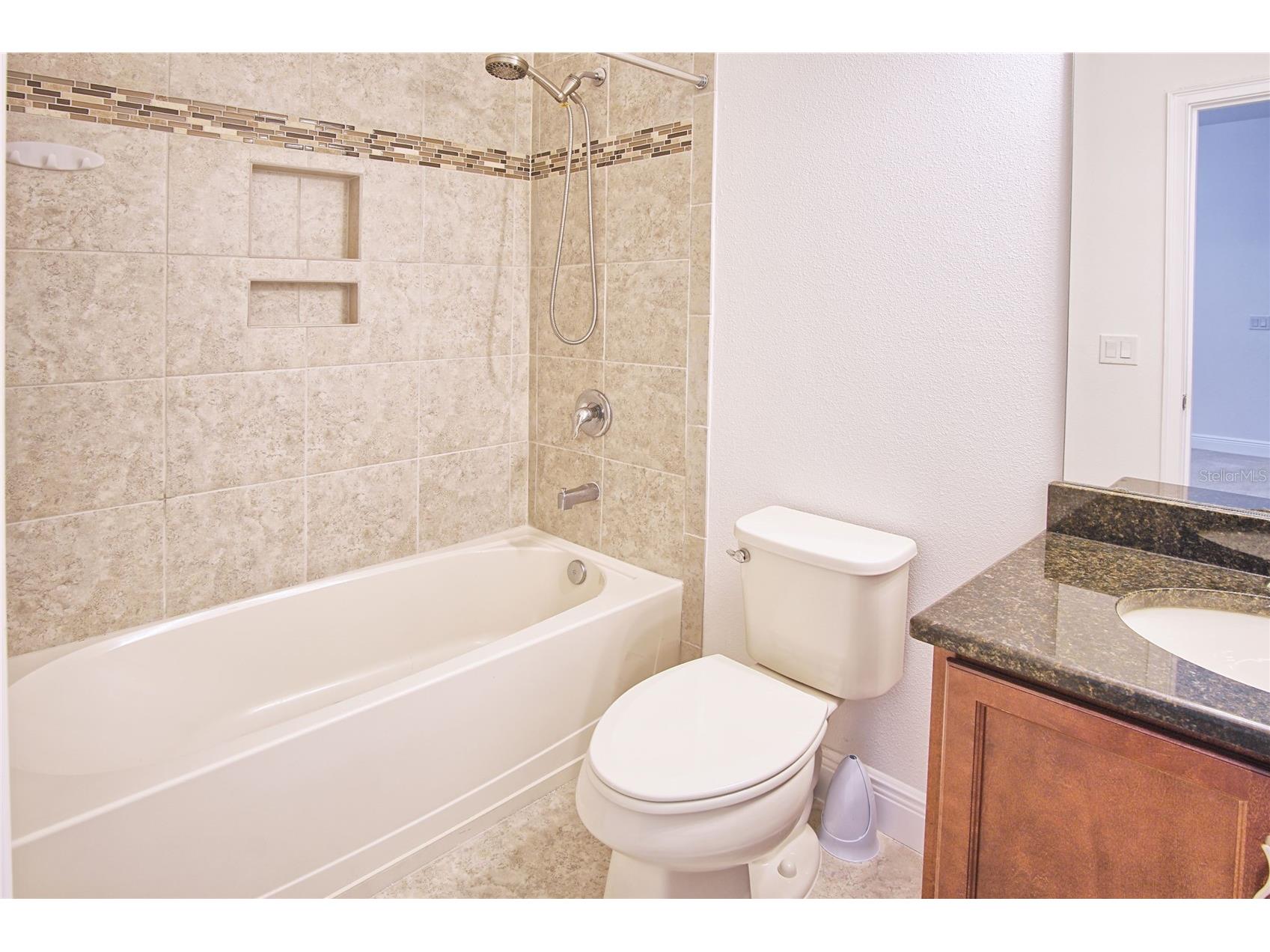 11619 Iris Spring Court Riverview FL 33579 TB8522773 image26