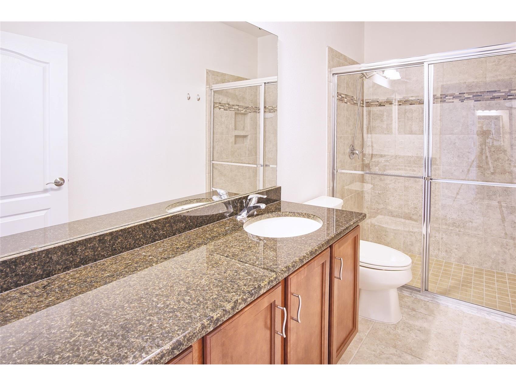 11619 Iris Spring Court Riverview FL 33579 TB8522773 image27