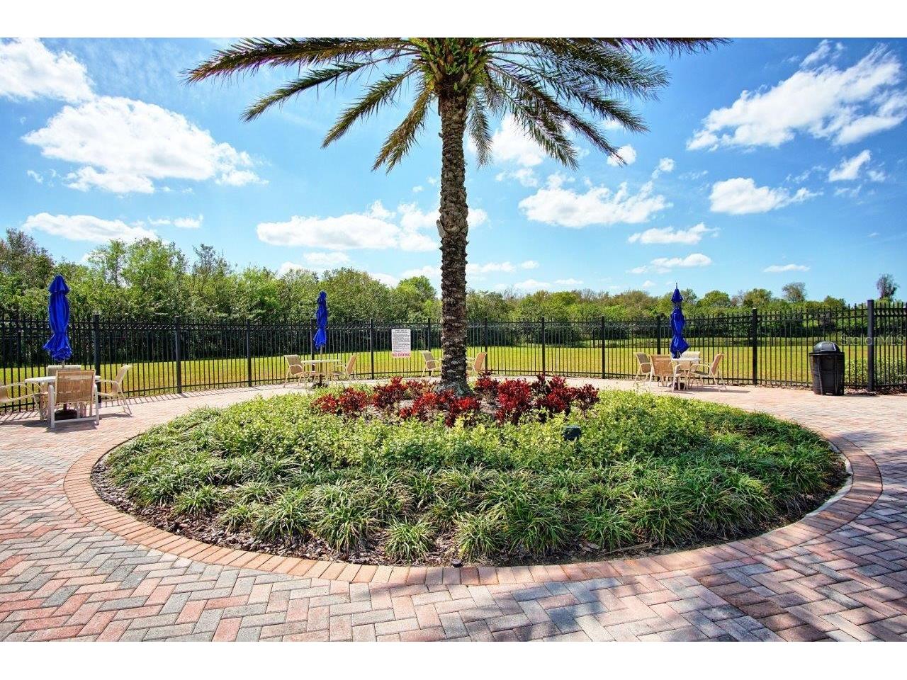 11619 Iris Spring Court Riverview FL 33579 TB8522773 image35