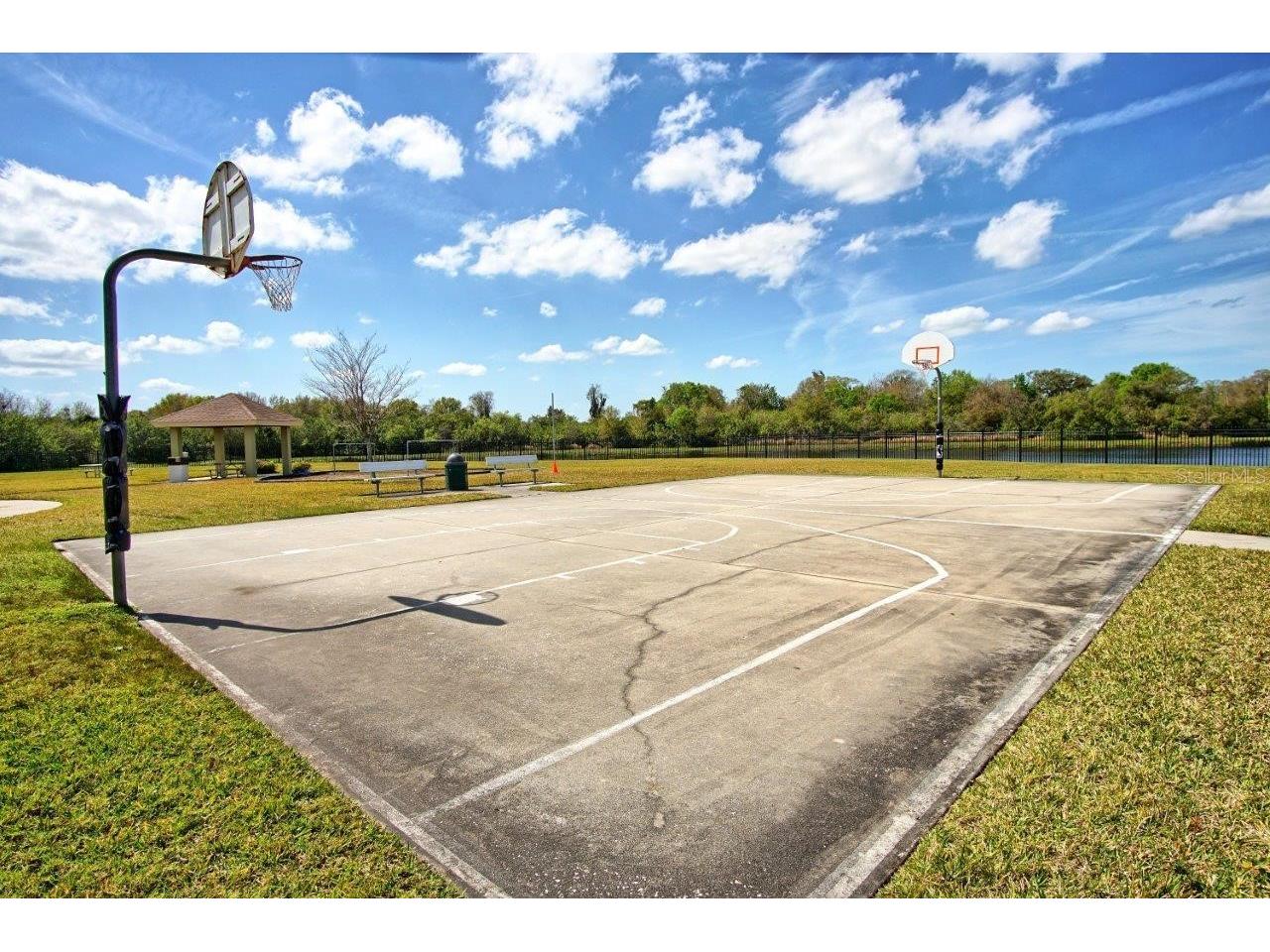 11619 Iris Spring Court Riverview FL 33579 TB8522773 image37