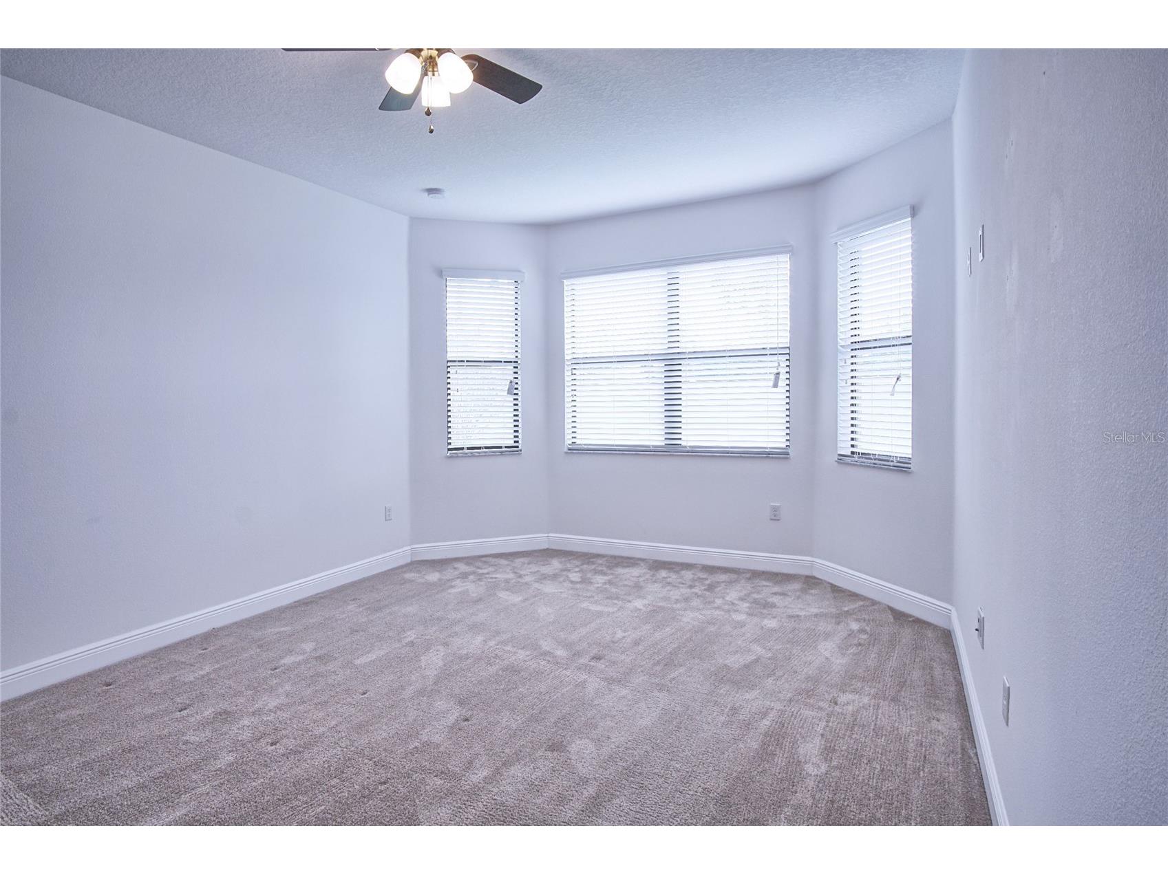 11619 Iris Spring Court Riverview FL 33579 TB8522773 image6