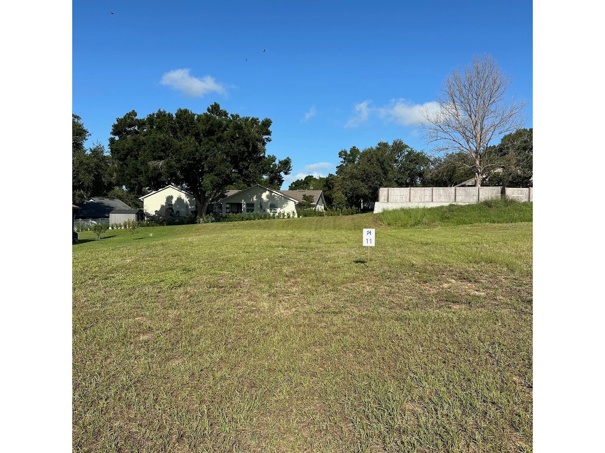 11619 Matanilla Drive Clermont FL 34711 G5110320 image1