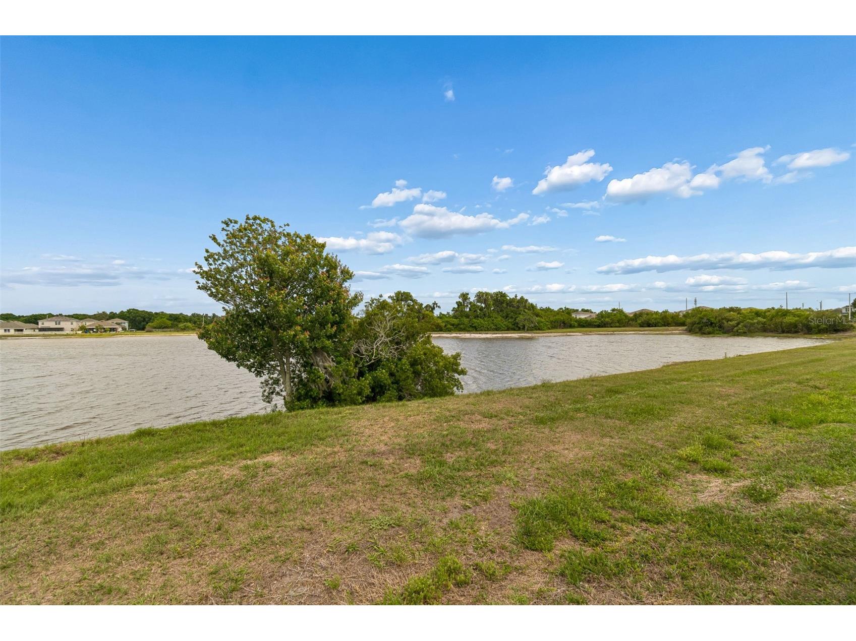 11619 Stone Pine Street Riverview FL 33569 TB8496958 image33