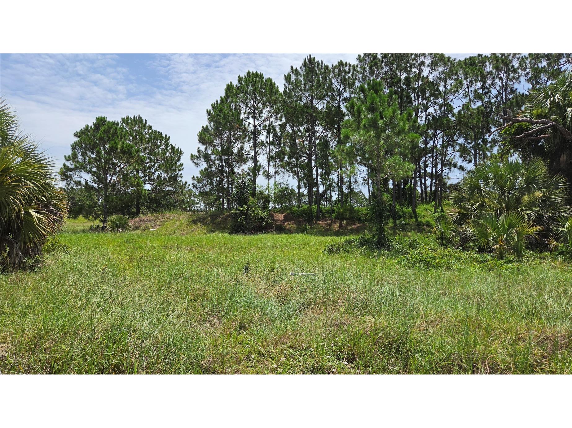 1162 SE 40th Avenue Okeechobee FL 34974 - Taylor Creek OM728299 image2