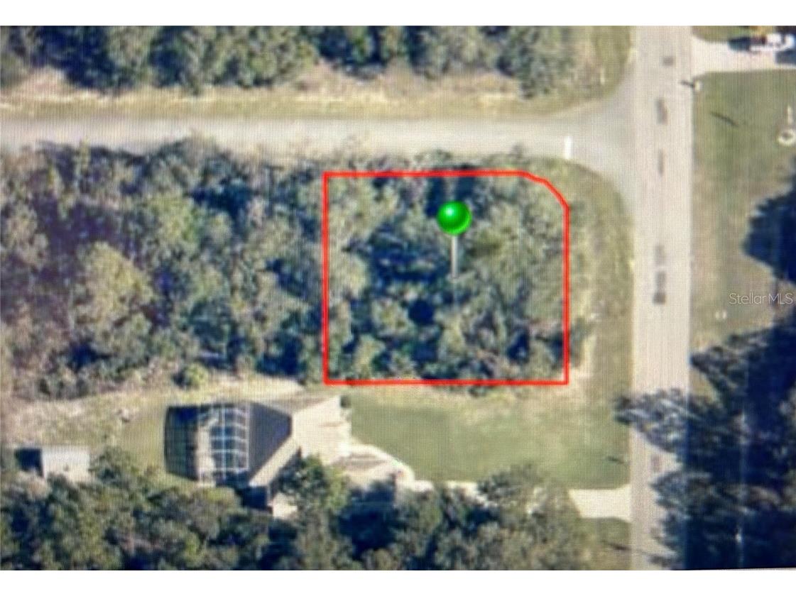 1162 W Manchester Drive Citrus Springs FL 34434 O6098470 image1