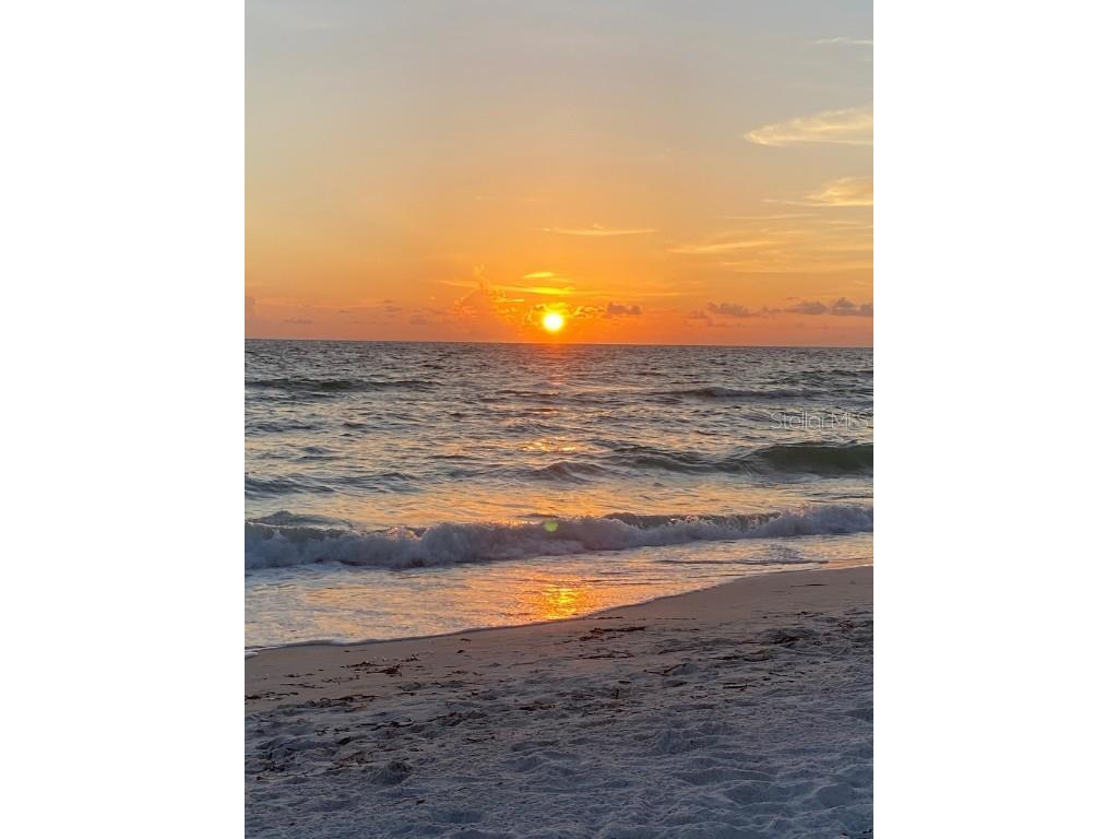 11620 61st Street E Parrish FL 34219 A4675663 image32