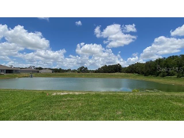 11620 61st Street E Parrish FL 34219 A4675663 image4