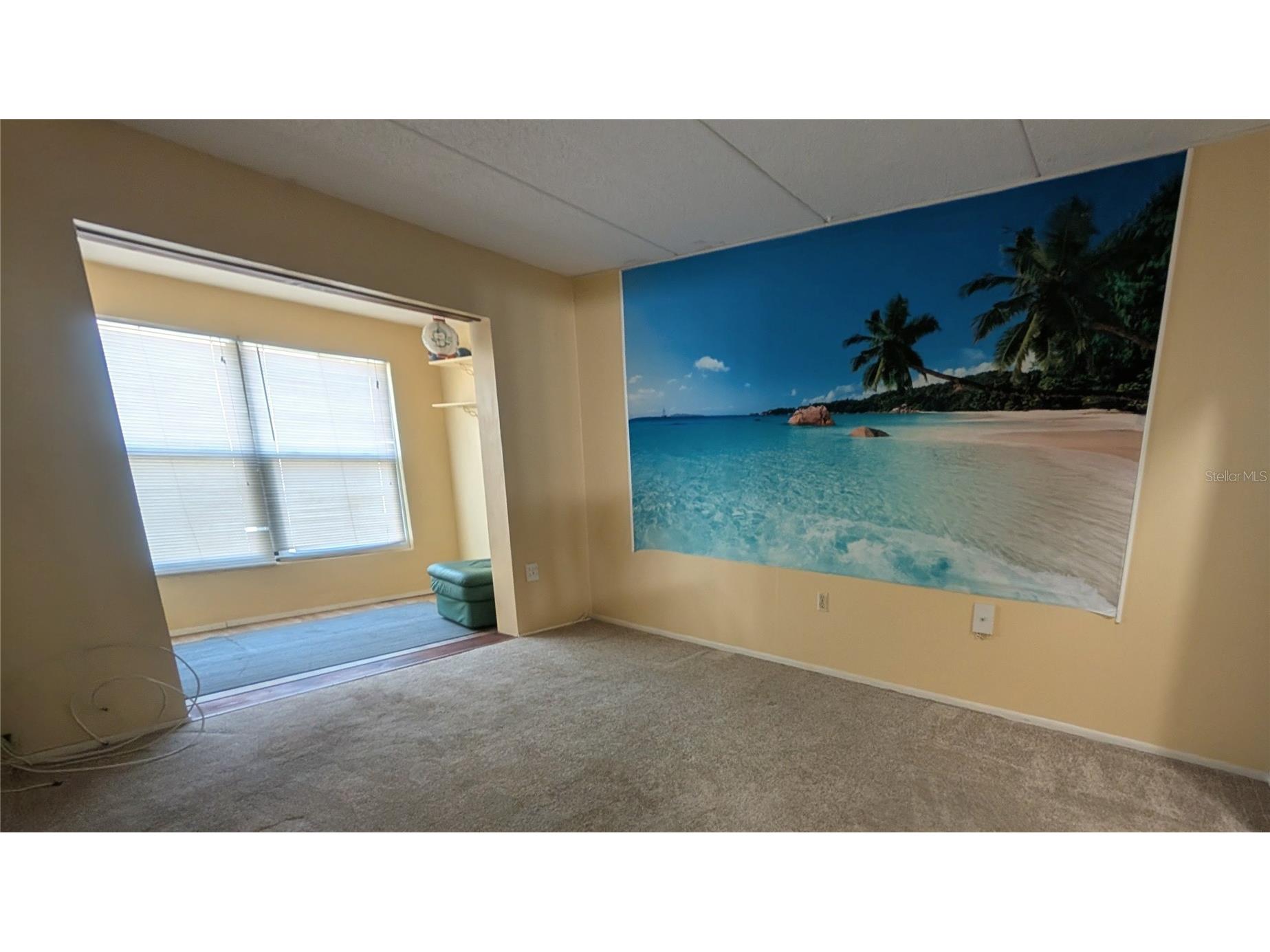 11620 Park Boulevard #209 Seminole FL 33772 TB8475089 image15