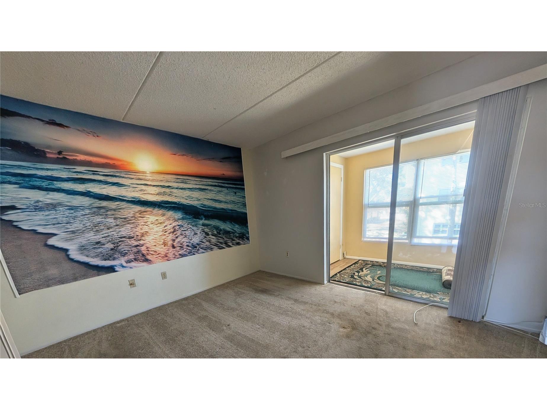 11620 Park Boulevard #209 Seminole FL 33772 TB8475089 image17