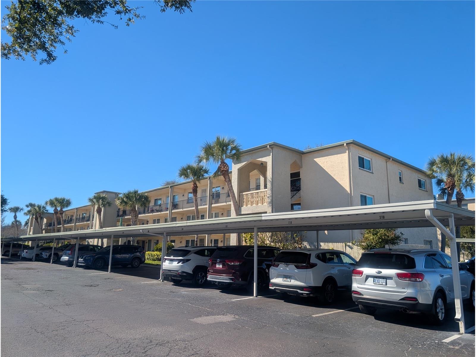 11620 Park Boulevard #209 Seminole FL 33772 TB8475089 image26