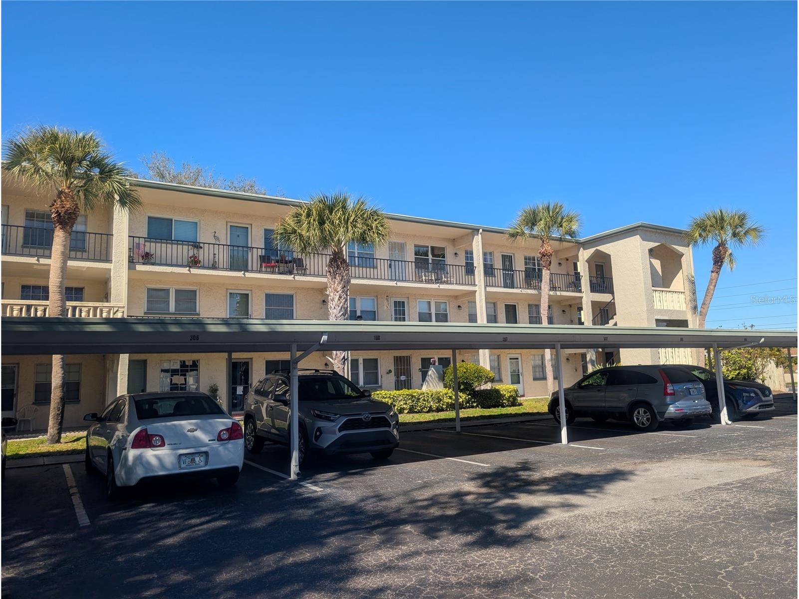 11620 Park Boulevard #209 Seminole FL 33772 TB8487671 image1