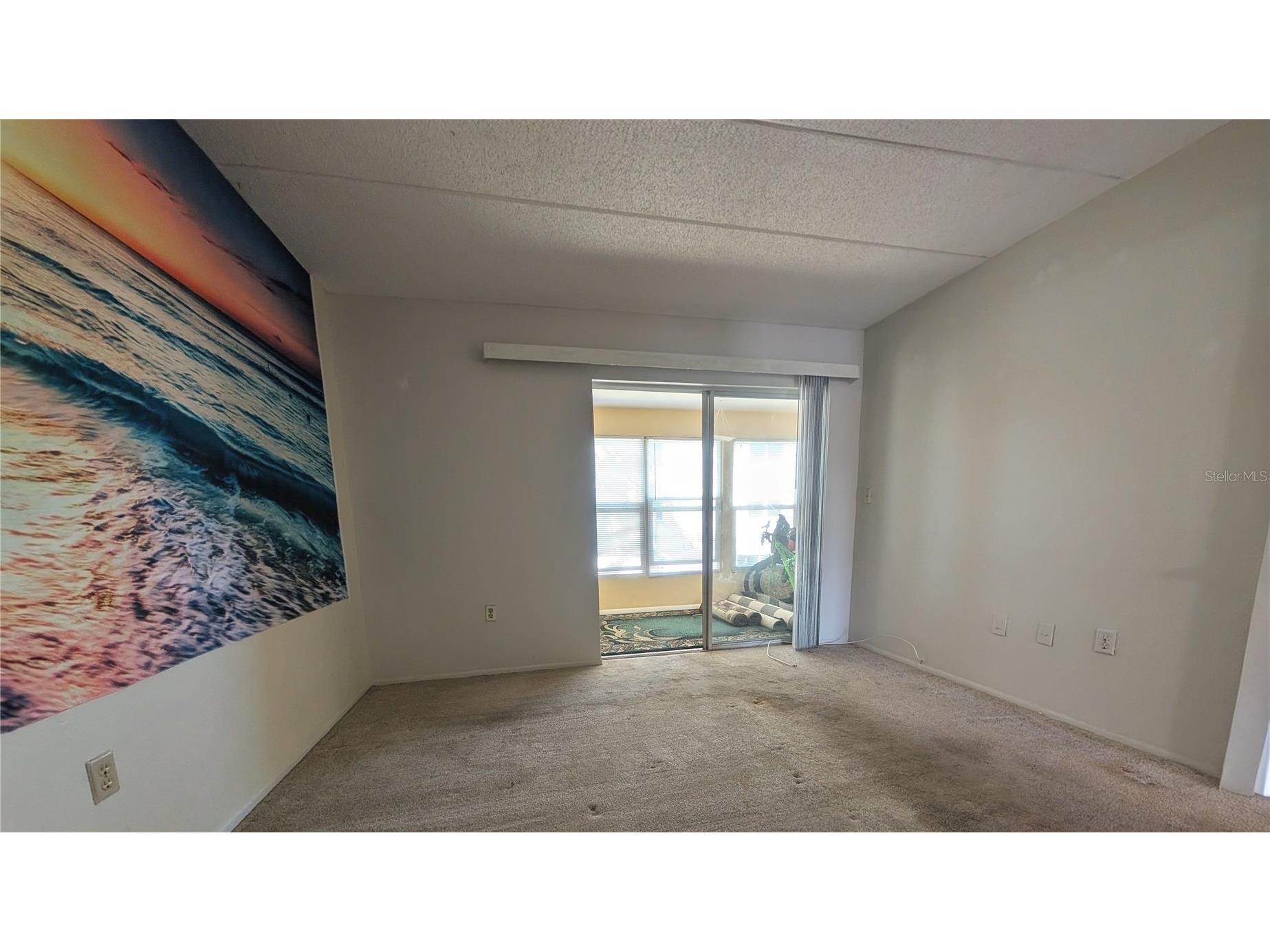 11620 Park Boulevard #209 Seminole FL 33772 TB8487671 image17